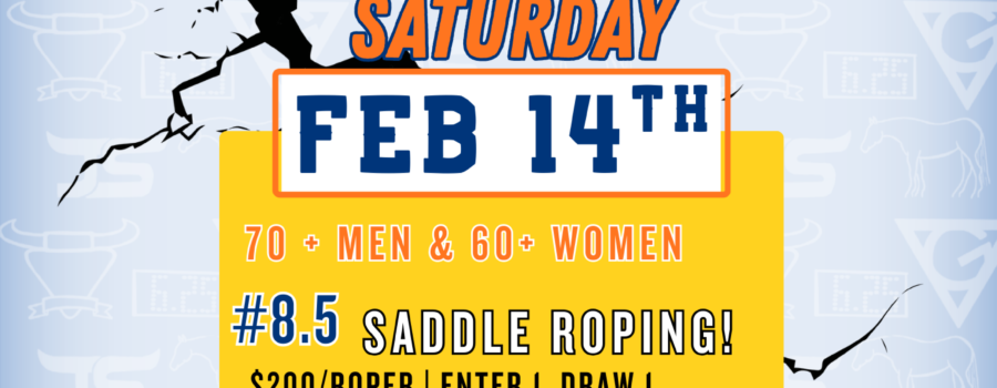 Big Tree Arena – KNOCKOUT SERIES – SATURDAY 2/14